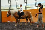 Vystoupen ambulantnch klient 2012