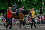 2022 Den otev�en�ch srdc�