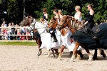 Jeden za vechny, vichni za jednoho (31. 8. 2011)